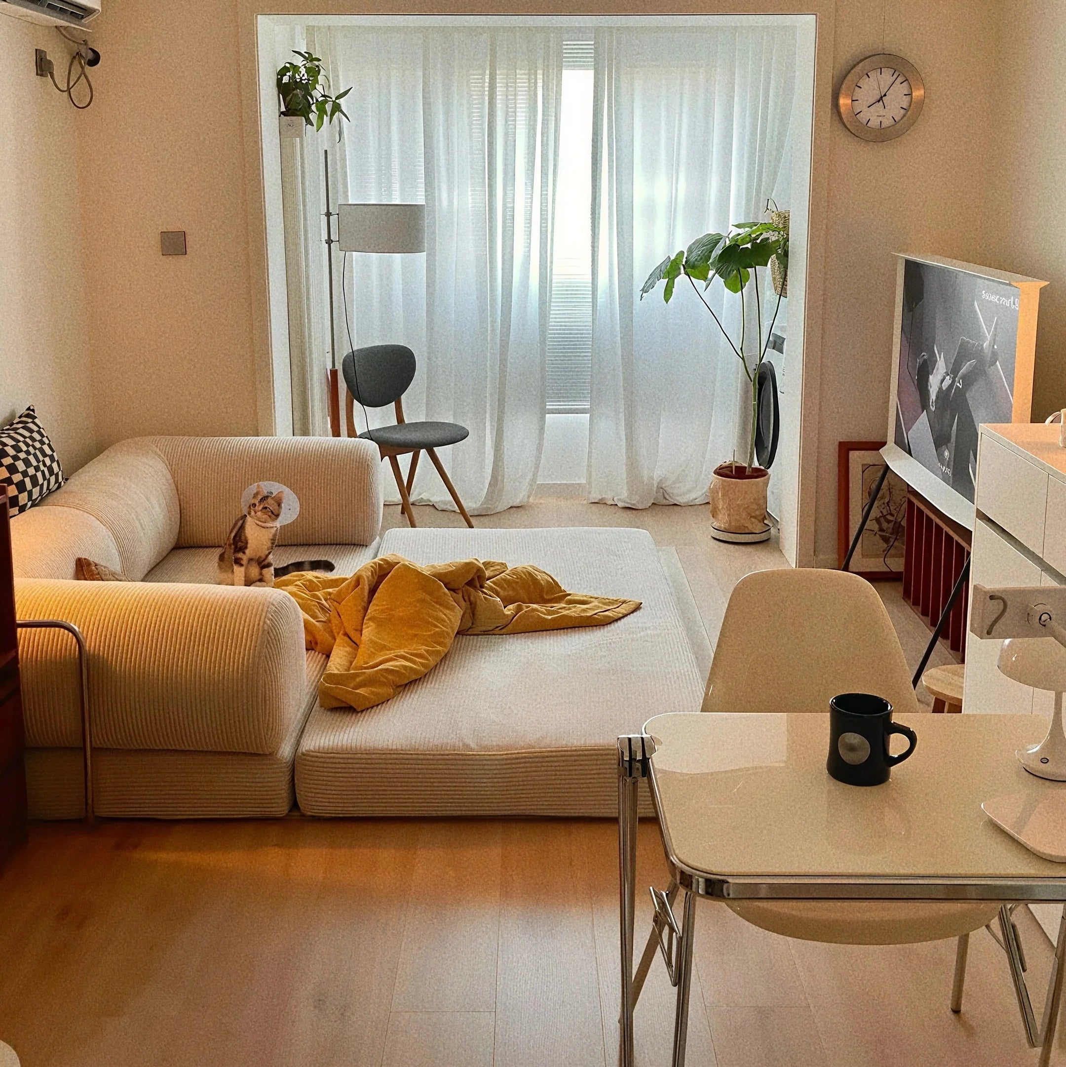 The Ultimate Guide to Sofa Beds in Australia: Comfort, Space and Style