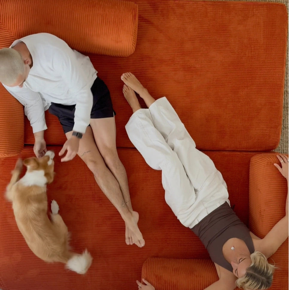 Two people and a dog on an orange couch in a casual setting