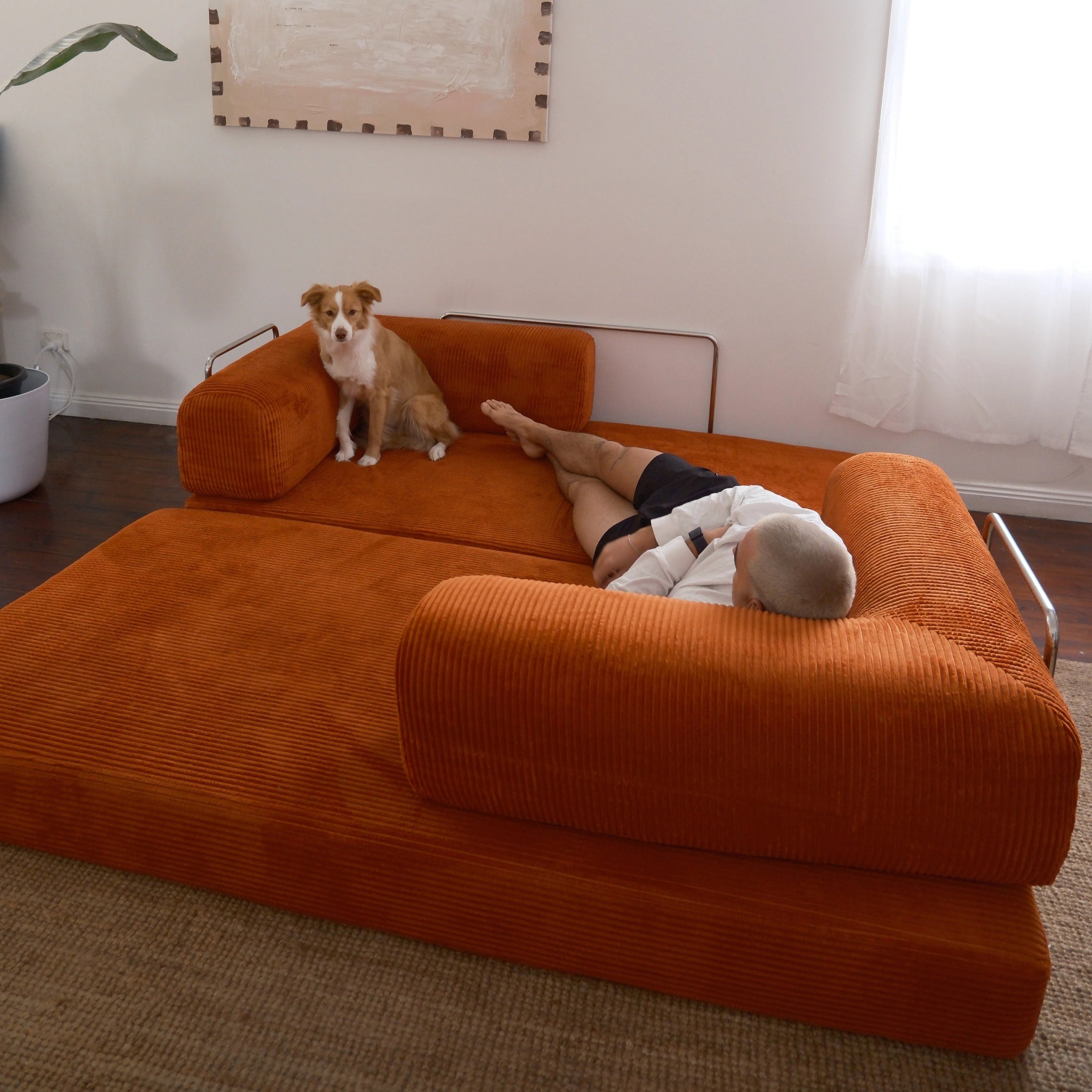 rust sofa with a person and dog in a living room setting.